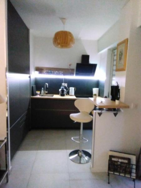 NICE- GAIRAUT - JARDIN PRIVE- GRAND F1 LUMINEUX-Piscine Collective